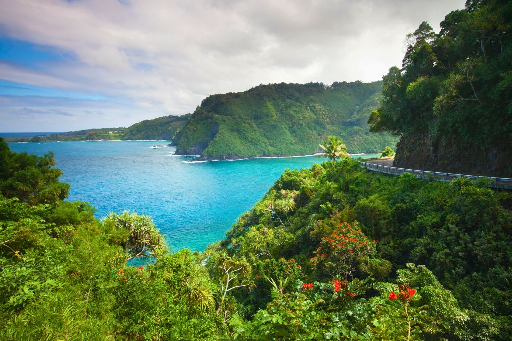 Road going through lush forests on Maui