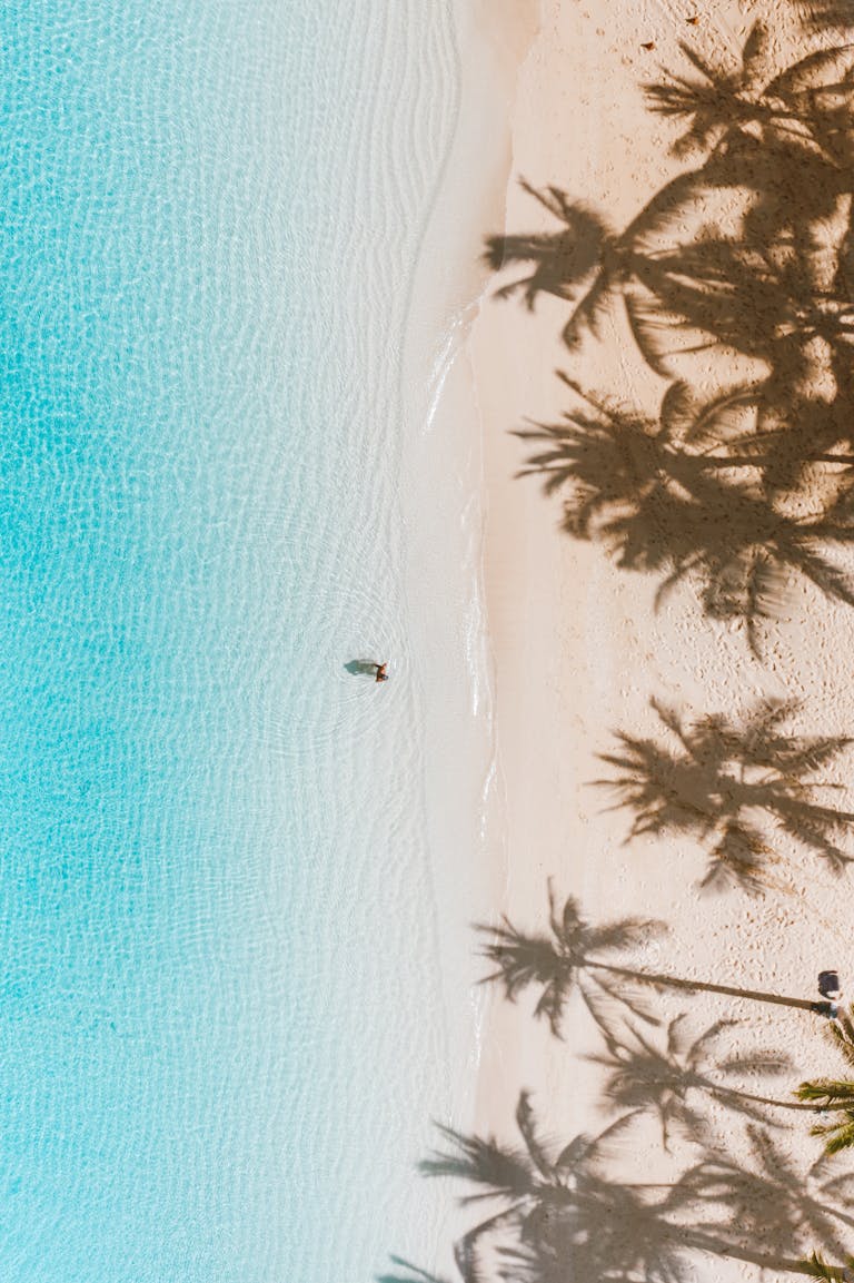 Aerial shot of palm tree shadows on a serene white sand beach with turquoise waters in Hawaii.