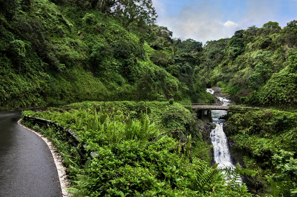 Part of the Road to Hana in a lush forested area with a waterfall