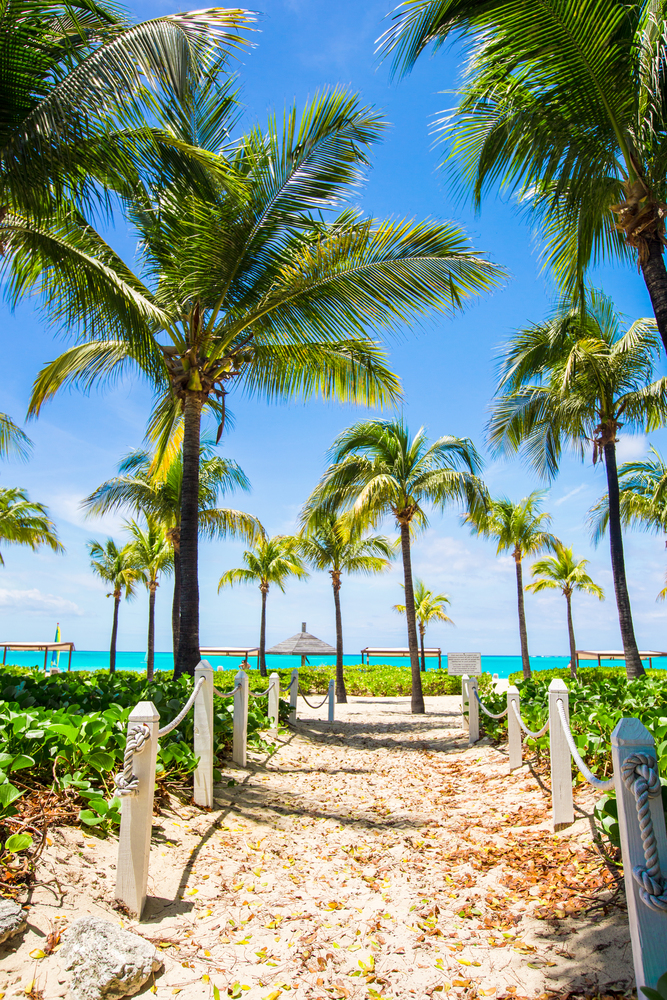 sandy beach aisle lined with rope and palm trees 