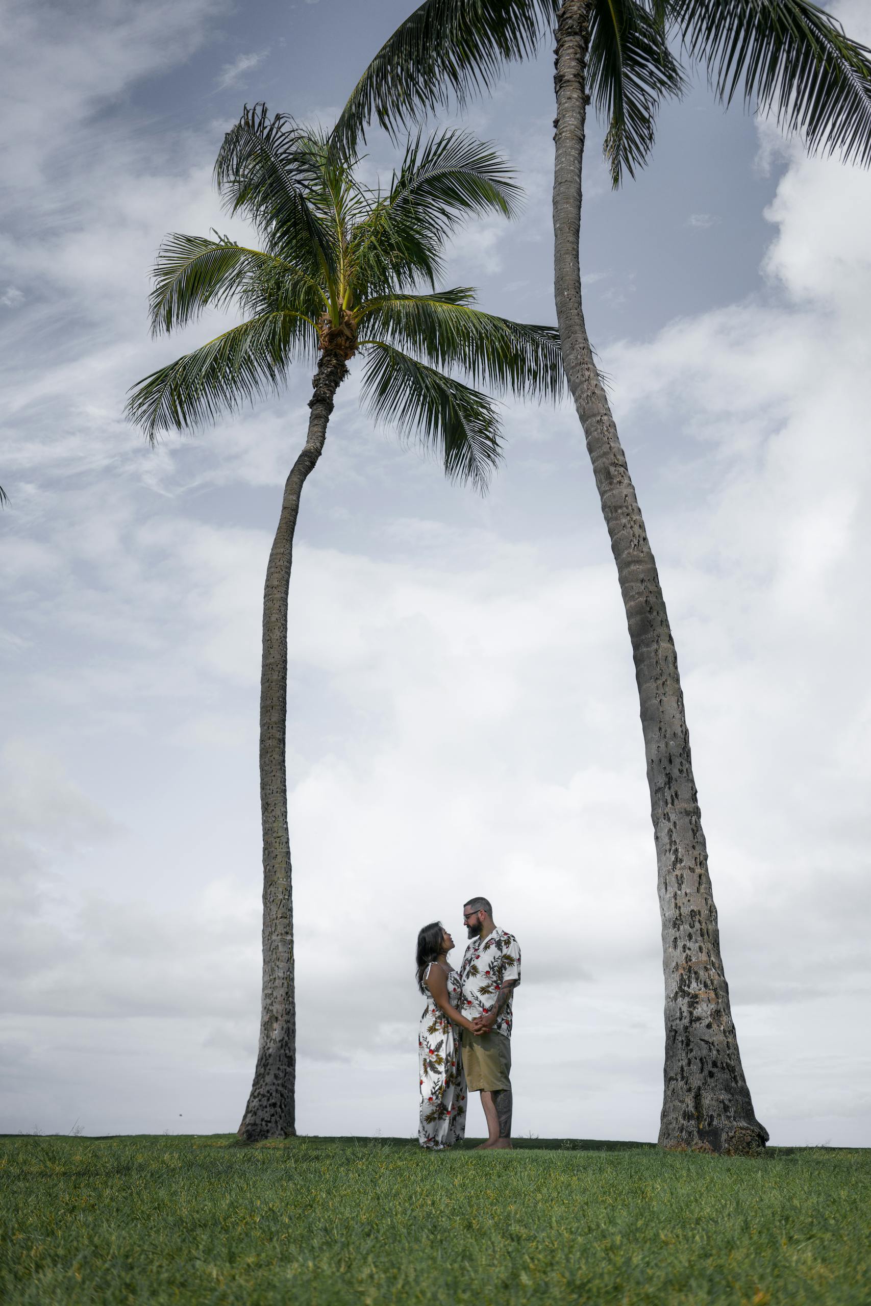 A loving couple embraces beneath tall palm trees, illustrating a tropical romance.