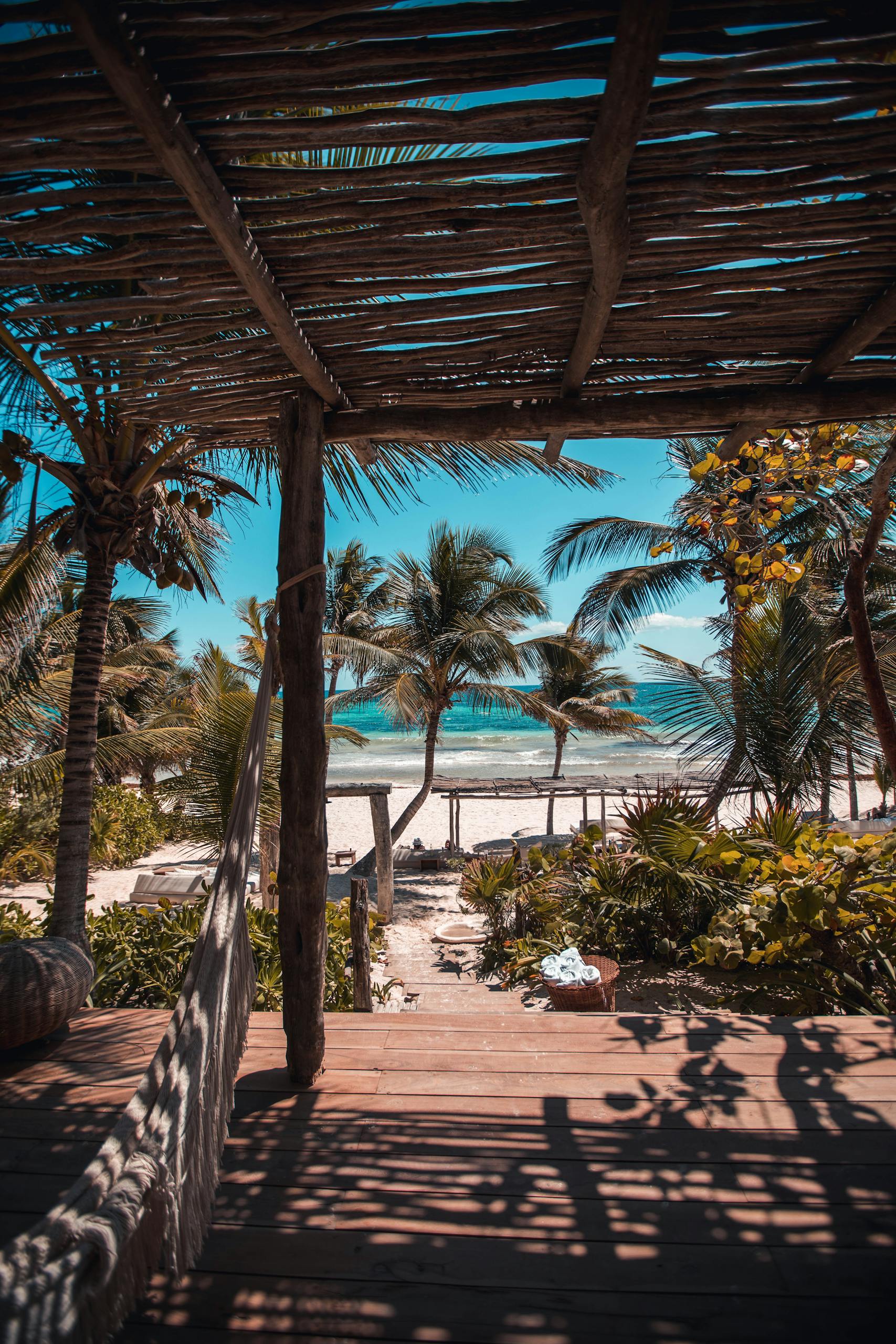 Explore a serene beachfront view with palm trees in the Caribbean