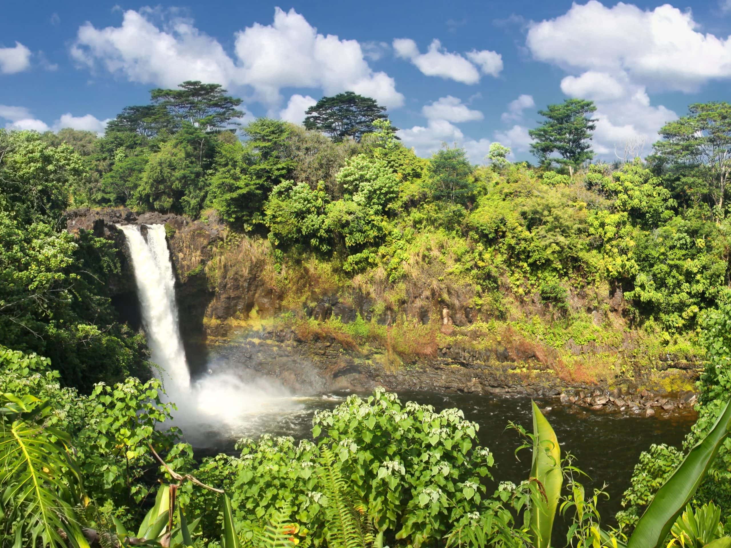 Rainbow Falls on the Big Island Hawaii falling in a lush lanscape.